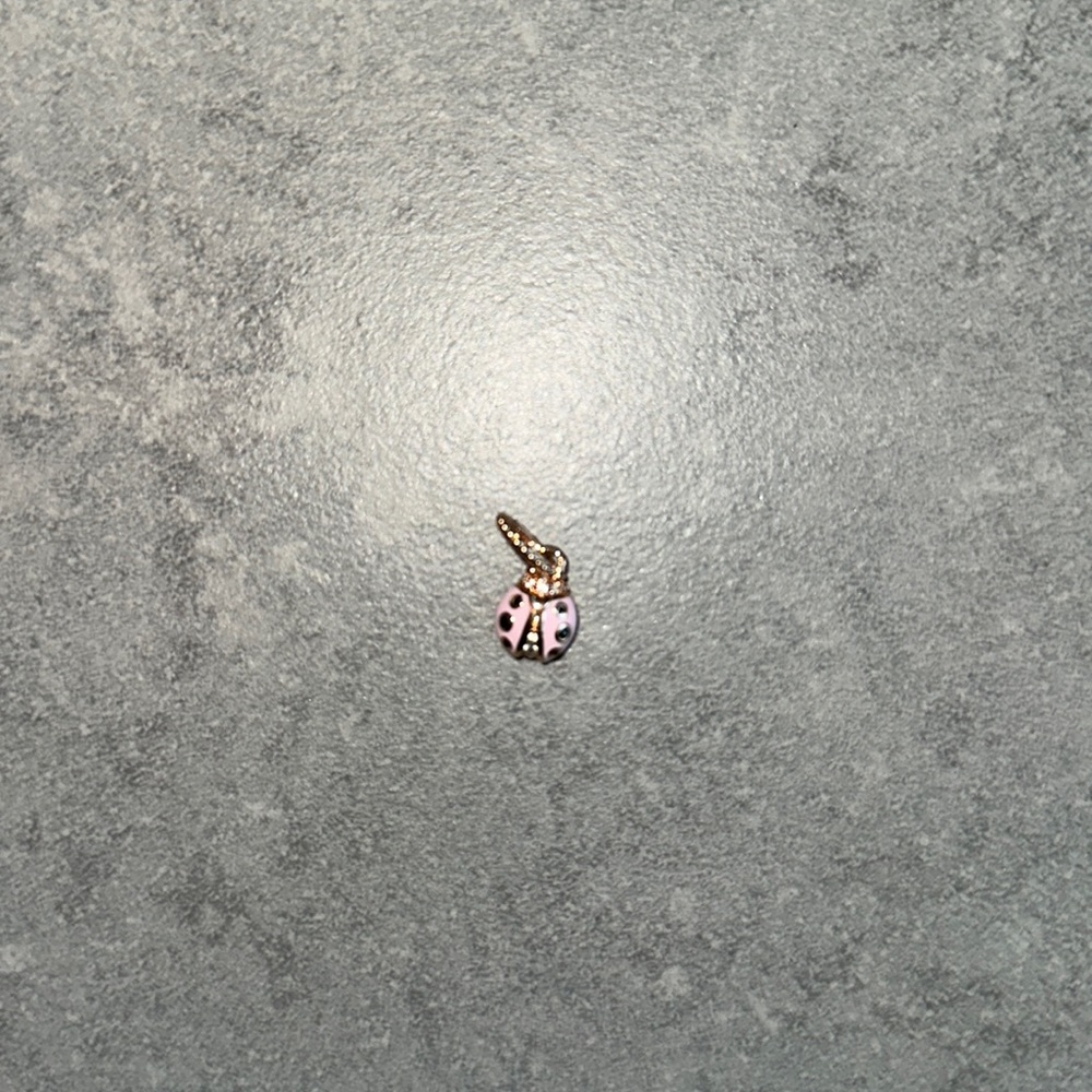 Pandora lady bug charm
